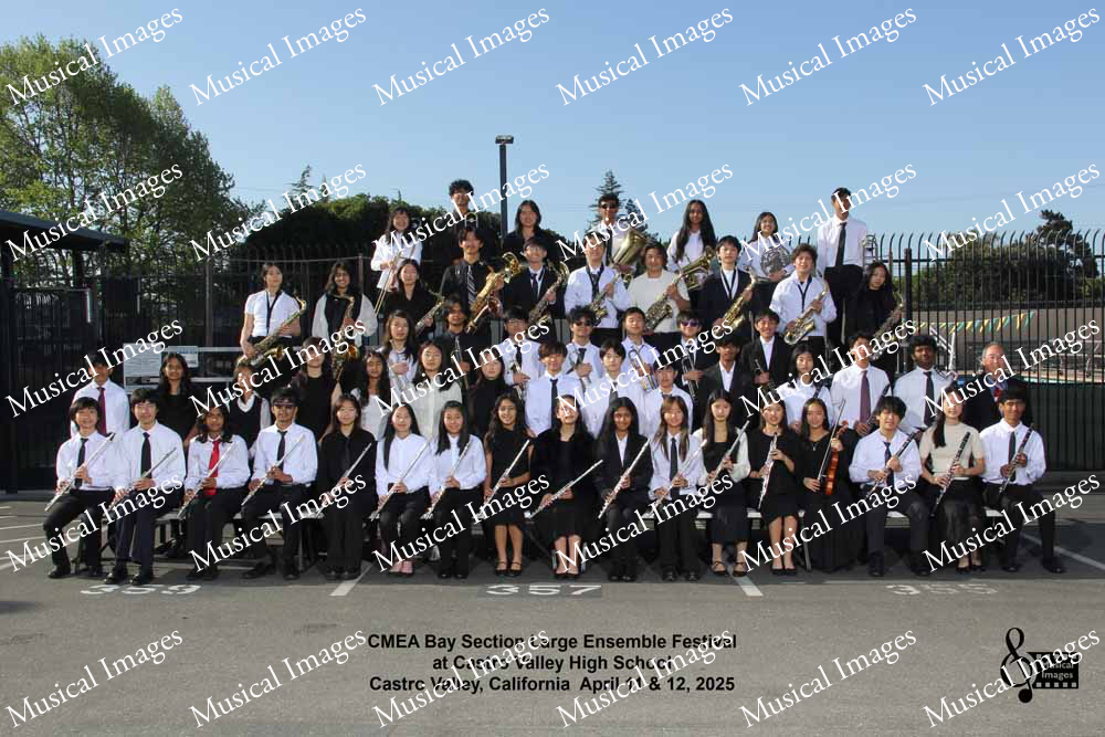 Musical Images